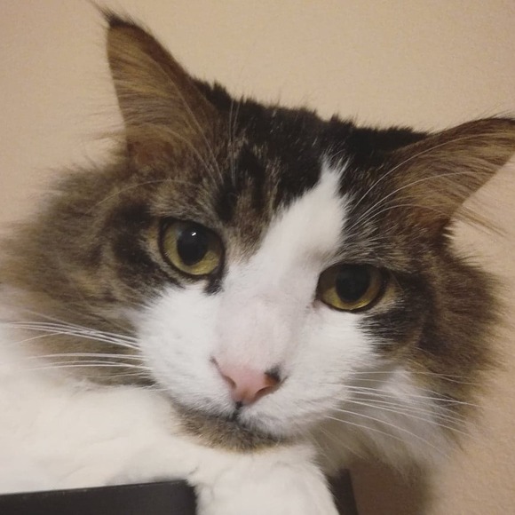 Meet your Posher, Maria - Picture 1 of 1